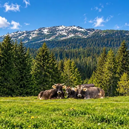 Hirschegg Hirschegg (Vorarlberg)